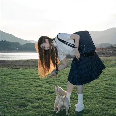 毛毯猫