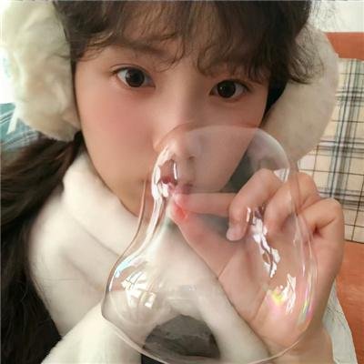 海豚湾恋人